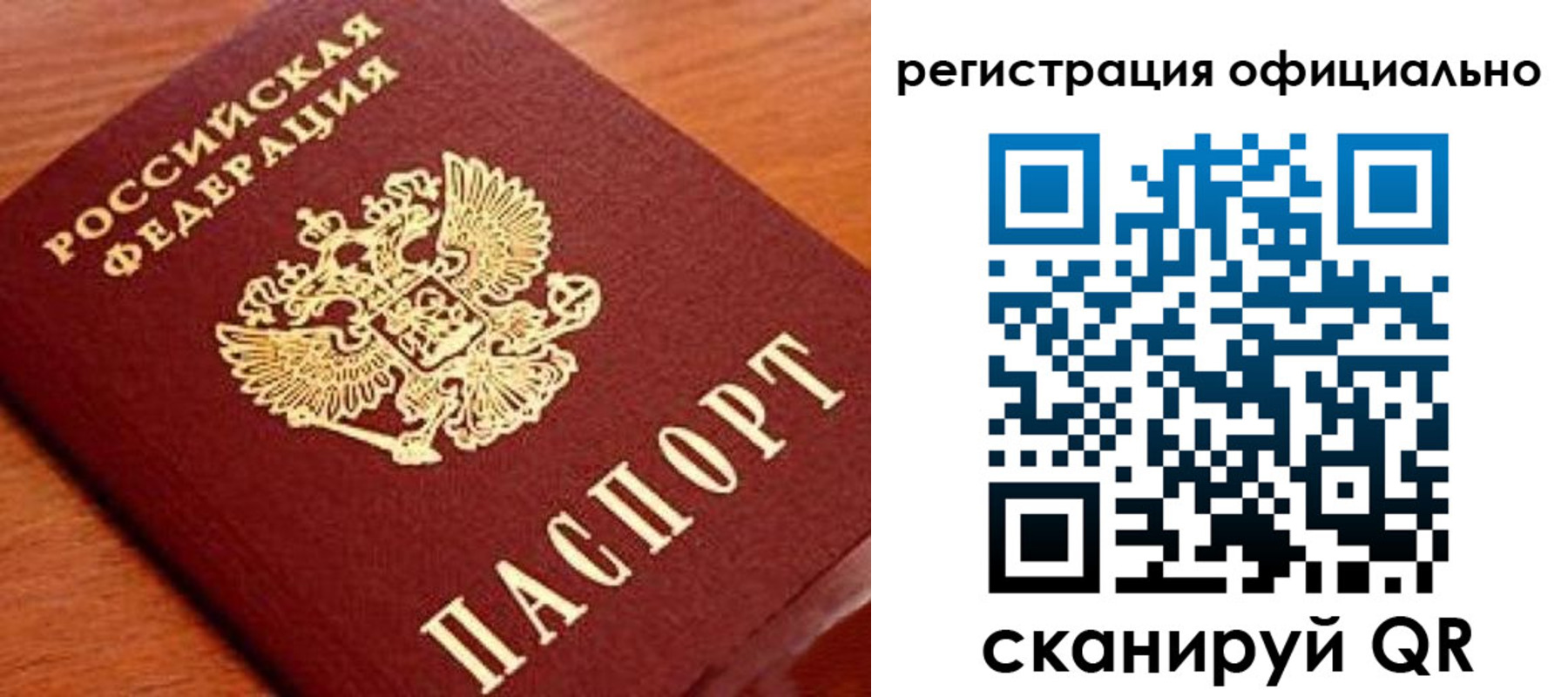 прописка штамп в Палласовке